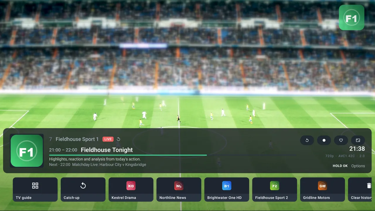 A live channel playing full screen with the player bar, which has a record button among its controls